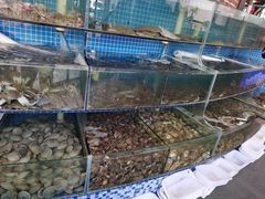 水产区-蟹谢蒸鲜自助餐厅