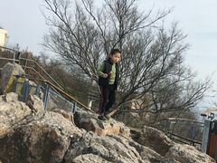 -紫金山山顶公园