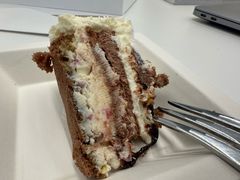 -BLACKSWAN黑天鹅(环球店)