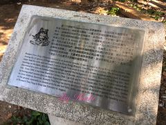 -南丫岛