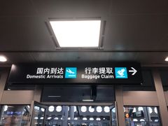 -厦门高崎国际机场-T3航站楼