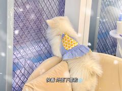 -怪兽屋·羊驼·猫咖·狗咖(俊华广场店)