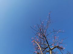 -马头山