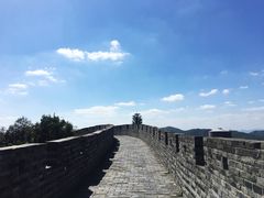 -黄贤森林公园