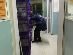 -中农大我爱我爱24h动物医院·中医针灸·猫专科·骨科医疗中心(双井店)