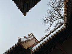 -故宫博物院(故宫)