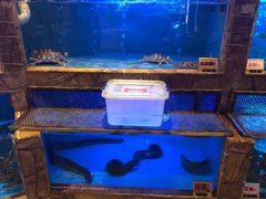 水产区-潮福汇