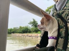 -长兴太湖图影湿地文化园