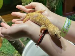 -酷嗒动物文化乐园(cutezoo西溪乐天城店)