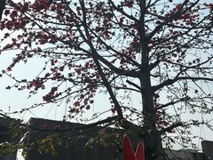 -瀛洲生态公园