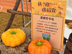 -义乌之心城市生活广场