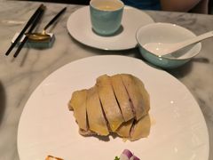 -蝶园·装修中(BFC外滩金融中心店)