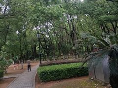 -燕鸣岛