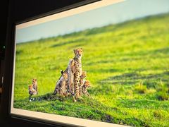 -罗红摄影艺术馆