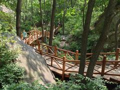 -大岭沟猕猴桃谷风景区