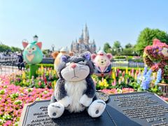 -上海迪士尼度假区