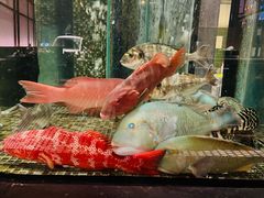 -官也街澳门火锅(新源里店)