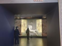 -呼和浩特博物馆