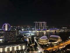 -新加坡瑞士史丹福酒店