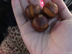 -杨记板栗(天虹总店)