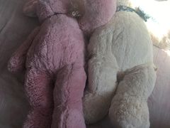 -PAWTOY爪e玩偶店(天兴罗斯福店)