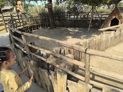 -祥源·阜阳生态乐园