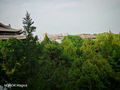 -曲水兰亭(北京四惠店)