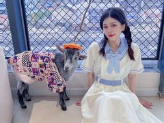 -怪兽屋·羊驼·猫咖·狗咖(俊华广场店)