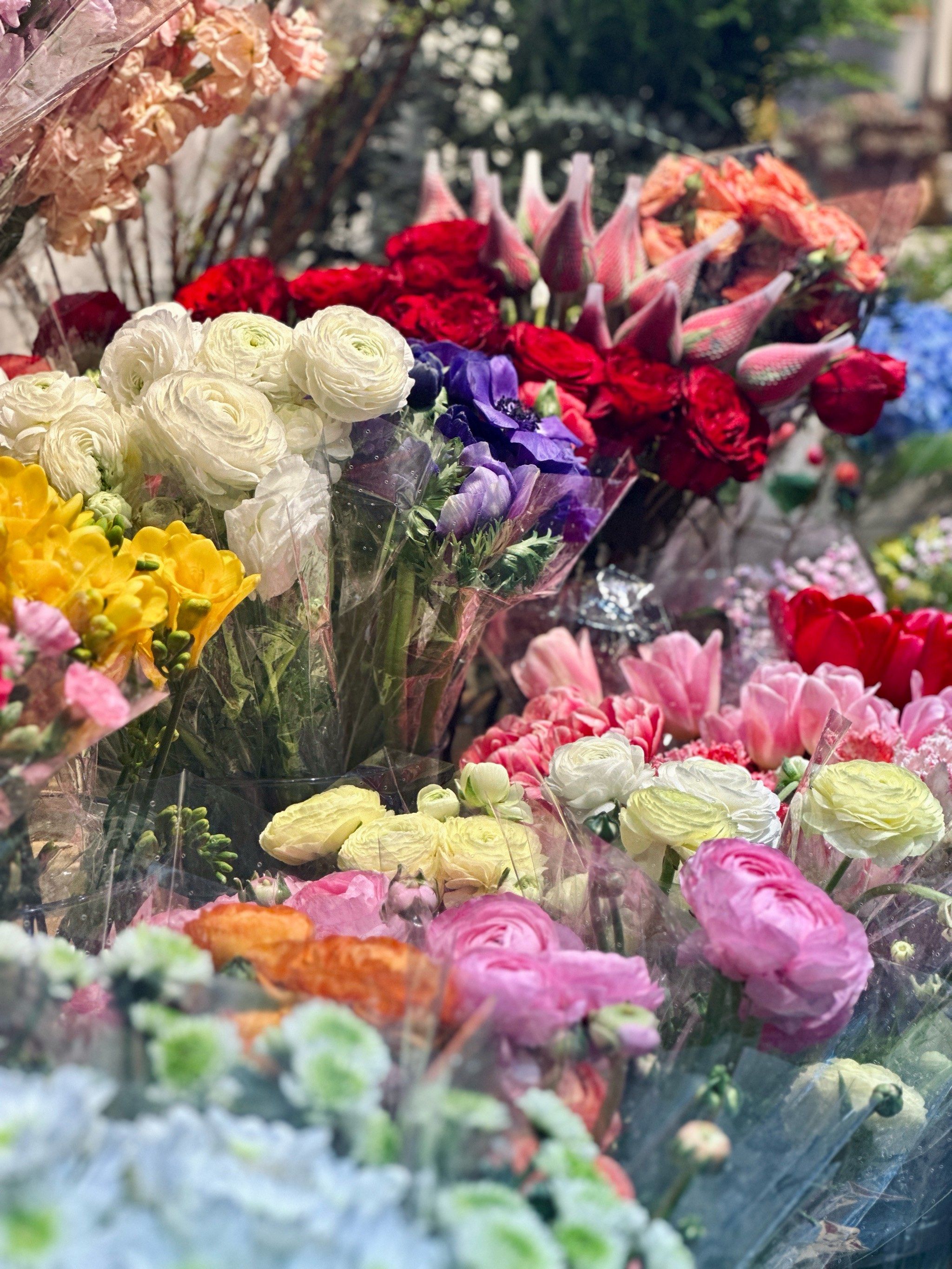 怎么会不喜欢花呢[礼花]