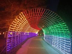 -南宫温泉水世界