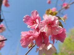 -洛龙公园