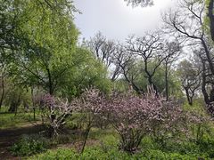 -北陵公园