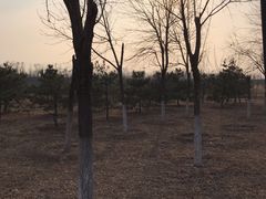 -东郊湿地公园