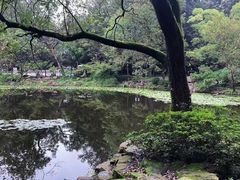 -灵谷景区
