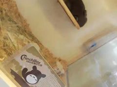 -龙猫仔乐园(惠福东路店)