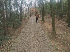 -西湖风景区十里琅珰-五云山