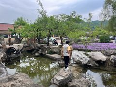 -老村长农家院