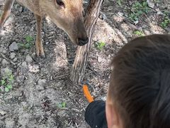 -银树楼(紫玉山庄东区店)