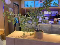 -茉莉奶白(广州动漫星城店)