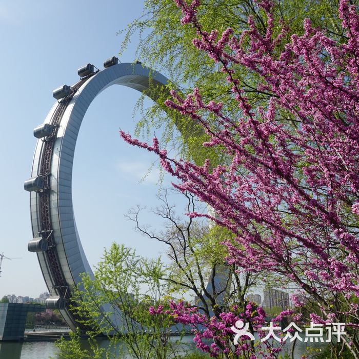 紫荆公园