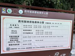 -西双版纳原始森林公园