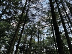 -八大关景区