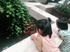 -苏州环秀晓筑养生度假村