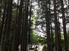 -北海道神宫