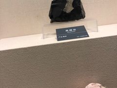 -安徽省地质博物馆