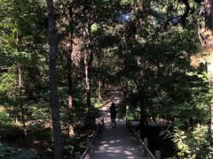 -北京西山国家森林公园