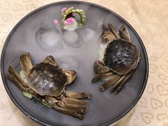 宝和醉雌蟹-王宝和酒家(黄浦店)