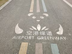 -空港花田景区