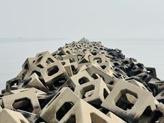 -东疆建设开发纪念公园
