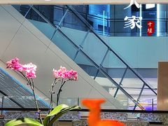 -小户人家(循礼门南国中心店)